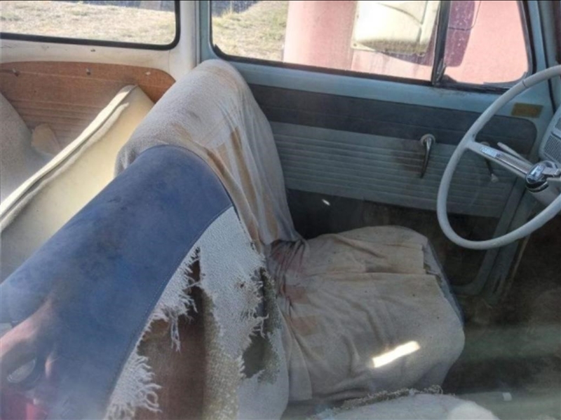 Image may have been reduced in size. Click image to view fullscreen.