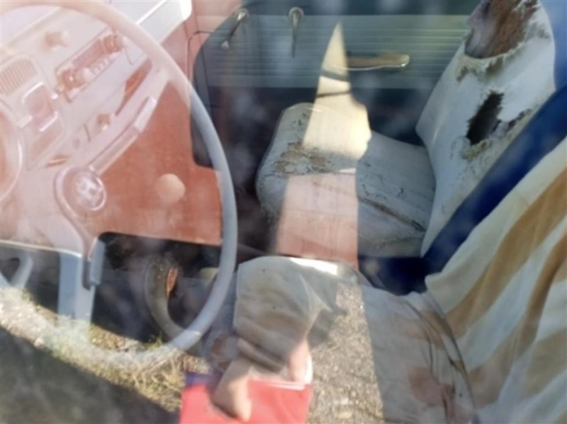 Image may have been reduced in size. Click image to view fullscreen.